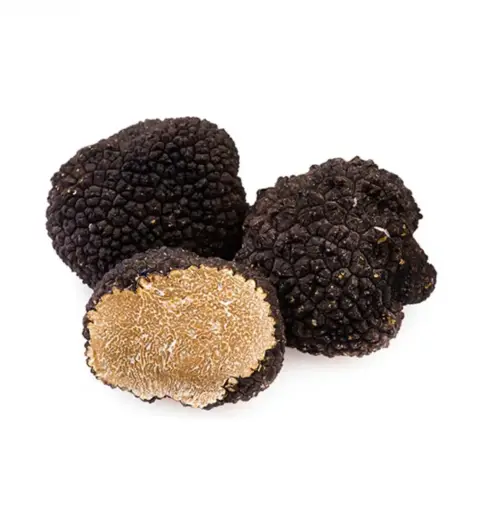 Fresh Summer Truffle - Tuber Aestivum New Harvest Europe Product
