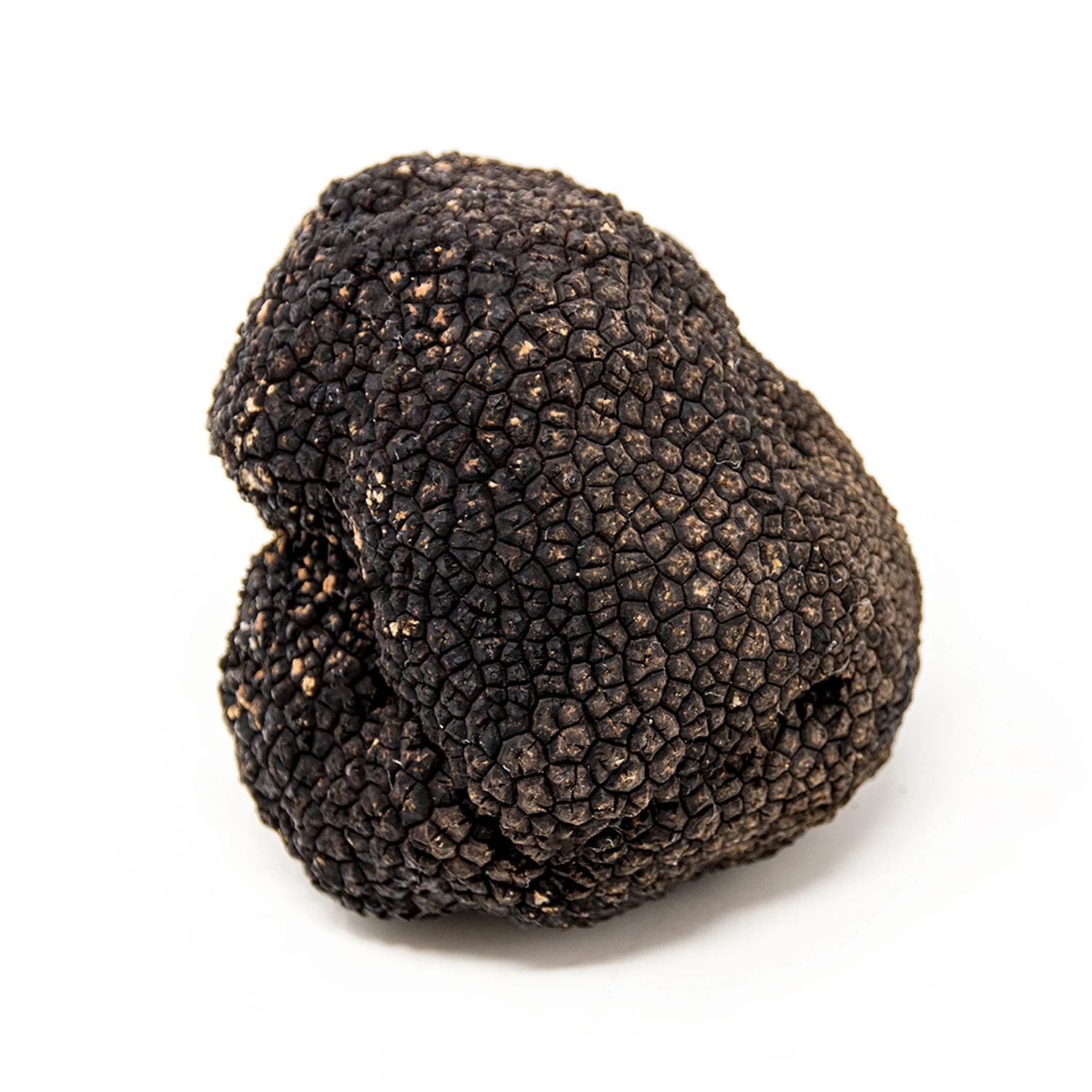 Fresh Summer Truffle - Tuber Aestivum 100gr Net - Image 2